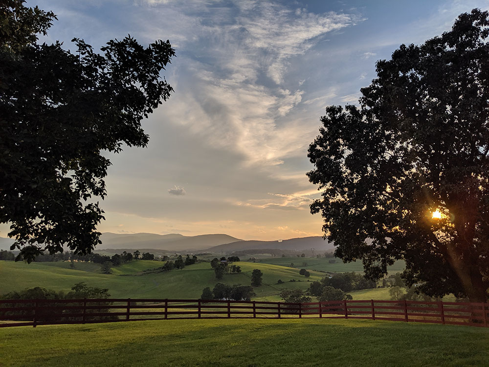 Photo taken from a yard enclosed in a red-wood fence of the rolling hills of green grass with sporadic trees and far off mountains at sunset.