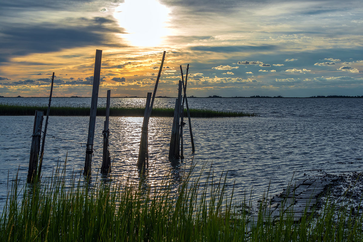 Scene from the shore of the Chesapeake Bay at sunset.